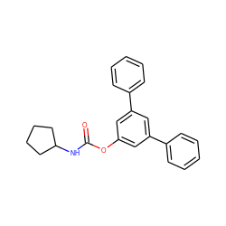 O=C(NC1CCCC1)Oc1cc(-c2ccccc2)cc(-c2ccccc2)c1 ZINC000040915118