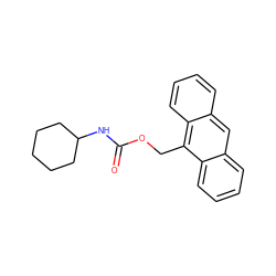 O=C(NC1CCCCC1)OCc1c2ccccc2cc2ccccc12 ZINC000059895208