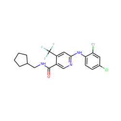 O=C(NCC1CCCC1)c1cnc(Nc2ccc(Cl)cc2Cl)cc1C(F)(F)F ZINC000040872732