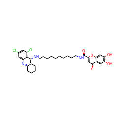 O=C(NCCCCCCCCCCNc1c2c(nc3cc(Cl)cc(Cl)c13)CCCC2)c1cc(=O)c2cc(O)c(O)cc2o1 ZINC000084618919