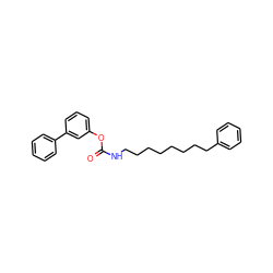 O=C(NCCCCCCCCc1ccccc1)Oc1cccc(-c2ccccc2)c1 ZINC000040421216