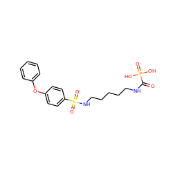 O=C(NCCCCCNS(=O)(=O)c1ccc(Oc2ccccc2)cc1)P(=O)(O)O ZINC000068245307