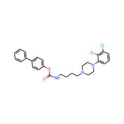 O=C(NCCCCN1CCN(c2cccc(Cl)c2Cl)CC1)Oc1ccc(-c2ccccc2)cc1 ZINC000223206877