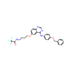 O=C(NCCCCOc1ccc2ncnc(Nc3ccc(OCc4ccccc4)cc3)c2c1)C(F)(F)F ZINC000013588400