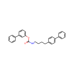 O=C(NCCCCc1ccc(-c2ccccc2)cc1)Oc1cccc(-c2ccccc2)c1 ZINC000045498558