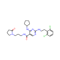 O=C(NCCCN1CCCC1=O)c1cnc(NCCc2c(Cl)cccc2Cl)nc1NC1CCCC1 ZINC000095595063