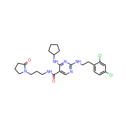 O=C(NCCCN1CCCC1=O)c1cnc(NCCc2ccc(Cl)cc2Cl)nc1NC1CCCC1 ZINC000095596913