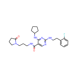 O=C(NCCCN1CCCC1=O)c1cnc(NCCc2ccccc2F)nc1NC1CCCC1 ZINC000095596260