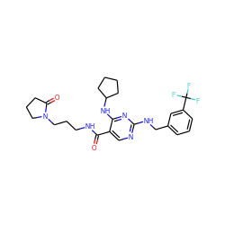 O=C(NCCCN1CCCC1=O)c1cnc(NCc2cccc(C(F)(F)F)c2)nc1NC1CCCC1 ZINC000095594570