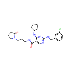 O=C(NCCCN1CCCC1=O)c1cnc(NCc2cccc(Cl)c2)nc1NC1CCCC1 ZINC000095595914