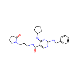 O=C(NCCCN1CCCC1=O)c1cnc(NCc2ccccc2)nc1NC1CCCC1 ZINC000095596024