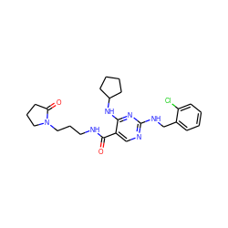 O=C(NCCCN1CCCC1=O)c1cnc(NCc2ccccc2Cl)nc1NC1CCCC1 ZINC000095593736