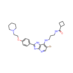 O=C(NCCCNc1c(Br)cnc2nc(-c3ccc(OCCN4CCCCC4)cc3)[nH]c12)C1CCC1 ZINC000084615156