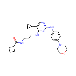 O=C(NCCCNc1nc(Nc2ccc(N3CCOCC3)cc2)ncc1C1CC1)C1CCC1 ZINC000095559591