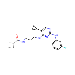 O=C(NCCCNc1nc(Nc2cccc(F)c2)ncc1C1CC1)C1CCC1 ZINC000095558232