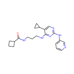 O=C(NCCCNc1nc(Nc2cccnc2)ncc1C1CC1)C1CCC1 ZINC000095558966