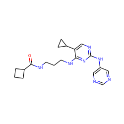 O=C(NCCCNc1nc(Nc2cncnc2)ncc1C1CC1)C1CCC1 ZINC000095559122