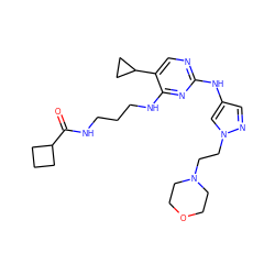 O=C(NCCCNc1nc(Nc2cnn(CCN3CCOCC3)c2)ncc1C1CC1)C1CCC1 ZINC000095560936