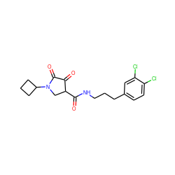 O=C(NCCCc1ccc(Cl)c(Cl)c1)C1CN(C2CCC2)C(=O)C1=O ZINC000141961440