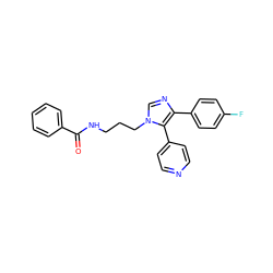 O=C(NCCCn1cnc(-c2ccc(F)cc2)c1-c1ccncc1)c1ccccc1 ZINC000028528239