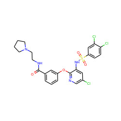 O=C(NCCN1CCCC1)c1cccc(Oc2ncc(Cl)cc2NS(=O)(=O)c2ccc(Cl)c(Cl)c2)c1 ZINC000073168063