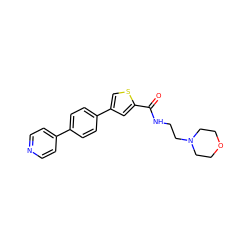 O=C(NCCN1CCOCC1)c1cc(-c2ccc(-c3ccncc3)cc2)cs1 ZINC000028137545