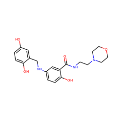 O=C(NCCN1CCOCC1)c1cc(NCc2cc(O)ccc2O)ccc1O ZINC000013861844