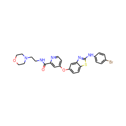 O=C(NCCN1CCOCC1)c1cc(Oc2ccc3sc(Nc4ccc(Br)cc4)nc3c2)ccn1 ZINC000071340553