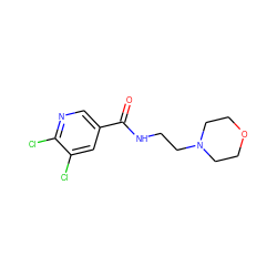 O=C(NCCN1CCOCC1)c1cnc(Cl)c(Cl)c1 ZINC000021809540