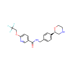 O=C(NCc1ccc([C@@H]2CNCCO2)cc1)c1ccc(OCC(F)(F)F)nc1 ZINC000117736801