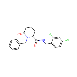 O=C(NCc1ccc(Cl)cc1Cl)[C@H]1CCCC(=O)N1Cc1ccccc1 ZINC000095565179