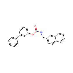 O=C(NCc1ccc2ccccc2c1)Oc1cccc(-c2ccccc2)c1 ZINC000042878257