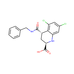 O=C(NCc1ccccc1)[C@H]1C[C@H](C(=O)O)Nc2cc(Cl)cc(Cl)c21 ZINC000013455343