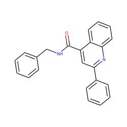 O=C(NCc1ccccc1)c1cc(-c2ccccc2)nc2ccccc12 ZINC000000020920