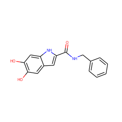 O=C(NCc1ccccc1)c1cc2cc(O)c(O)cc2[nH]1 ZINC000035001333