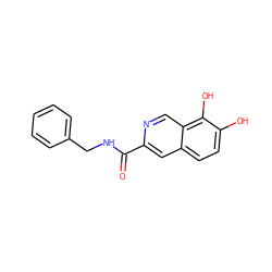 O=C(NCc1ccccc1)c1cc2ccc(O)c(O)c2cn1 ZINC000006575044