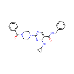 O=C(NCc1ccccc1)c1cnc(N2CCN(C(=O)c3ccccc3)CC2)nc1NC1CC1 ZINC000072114350