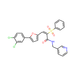 O=C(NCc1cccnc1)/C(=C\c1ccc(-c2ccc(Cl)c(Cl)c2)o1)S(=O)(=O)c1ccccc1 ZINC000006171157