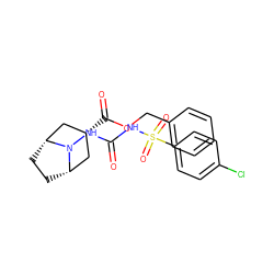 O=C(NN1[C@H]2CC[C@@H]1C[C@H](C(=O)OCc1ccccc1)C2)NS(=O)(=O)c1ccc(Cl)cc1 ZINC000653878807