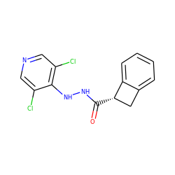 O=C(NNc1c(Cl)cncc1Cl)[C@H]1Cc2ccccc21 ZINC000084757362