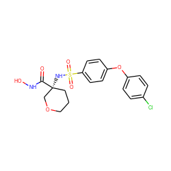 O=C(NO)[C@@]1(NS(=O)(=O)c2ccc(Oc3ccc(Cl)cc3)cc2)CCCOC1 ZINC000000590142