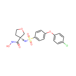 O=C(NO)[C@@]1(NS(=O)(=O)c2ccc(Oc3ccc(Cl)cc3)cc2)CCOC1 ZINC000000590143