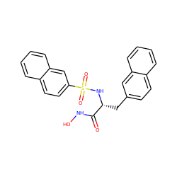 O=C(NO)[C@@H](Cc1ccc2ccccc2c1)NS(=O)(=O)c1ccc2ccccc2c1 ZINC000000594749