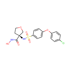 O=C(NO)[C@]1(NS(=O)(=O)c2ccc(Oc3ccc(Cl)cc3)cc2)CCOC1 ZINC000003820958