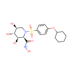 O=C(NO)[C@H]1[C@@H](O)[C@H](O)[C@@H](O)CN1S(=O)(=O)c1ccc(OC2CCCCC2)cc1 ZINC000013537272