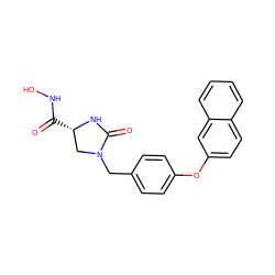 O=C(NO)[C@H]1CN(Cc2ccc(Oc3ccc4ccccc4c3)cc2)C(=O)N1 ZINC000003817613