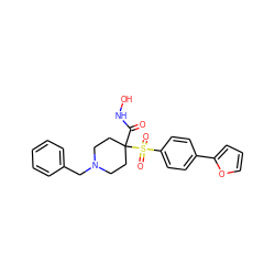 O=C(NO)C1(S(=O)(=O)c2ccc(-c3ccco3)cc2)CCN(Cc2ccccc2)CC1 ZINC000013521122