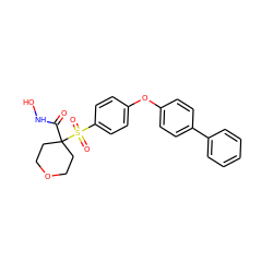 O=C(NO)C1(S(=O)(=O)c2ccc(Oc3ccc(-c4ccccc4)cc3)cc2)CCOCC1 ZINC000072111312