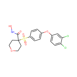 O=C(NO)C1(S(=O)(=O)c2ccc(Oc3ccc(Cl)c(Cl)c3)cc2)CCOCC1 ZINC000072108895