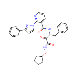 O=C(NOC1CCCC1)C(=O)[C@@H](Cc1ccccc1)NC(=O)c1cccnc1-n1ccc(-c2ccccc2)n1 ZINC000117721991